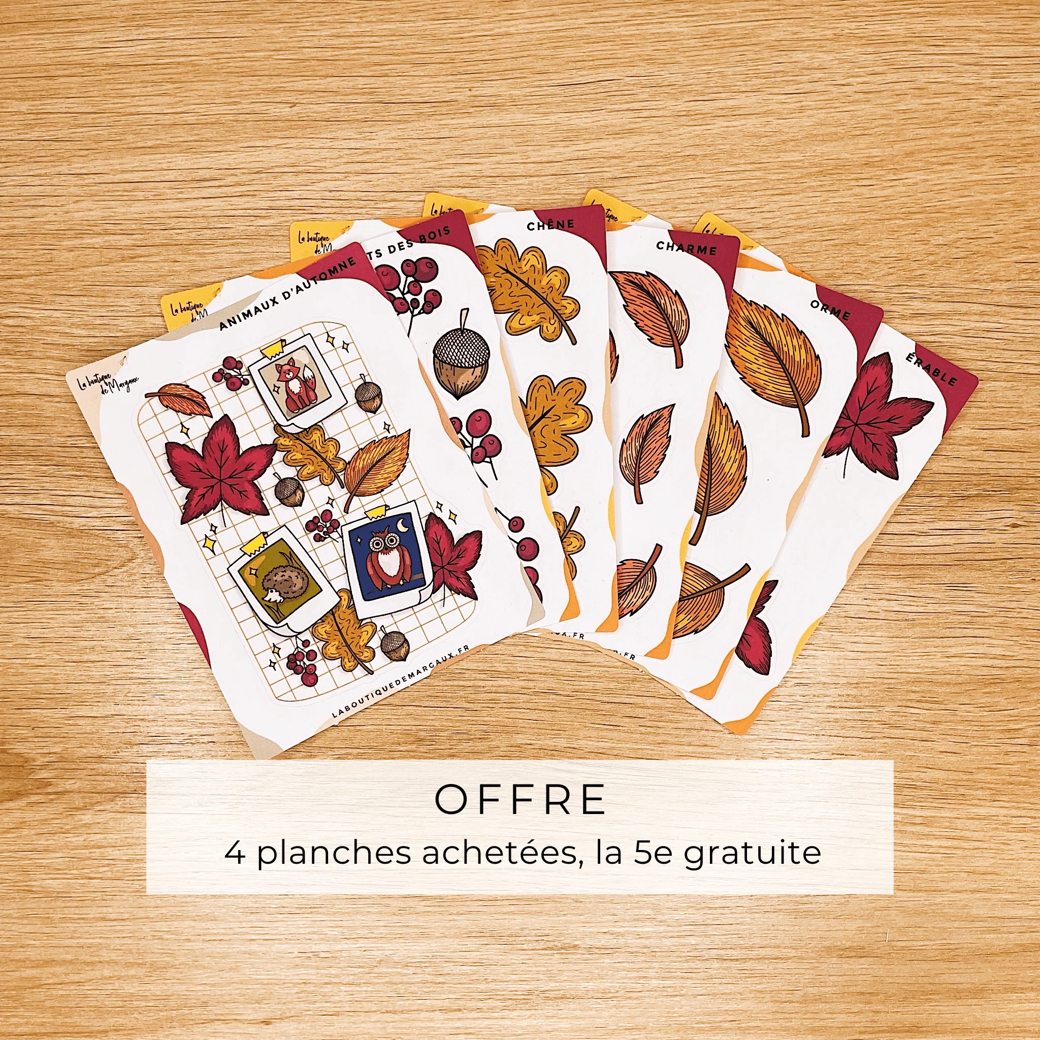 Feuilles & fruits des bois - Stickers C7