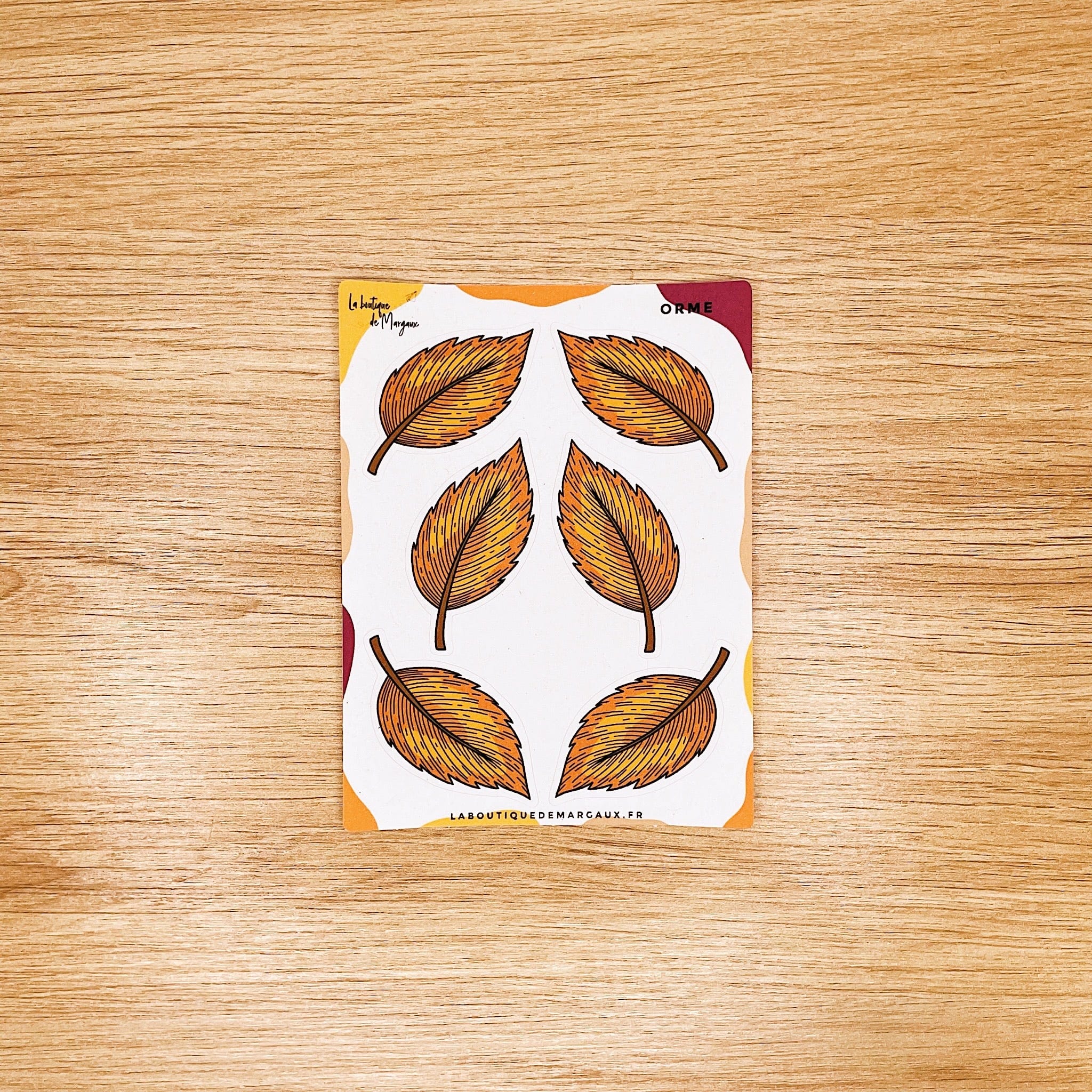 Feuilles & fruits des bois - Stickers C7 - Image 7