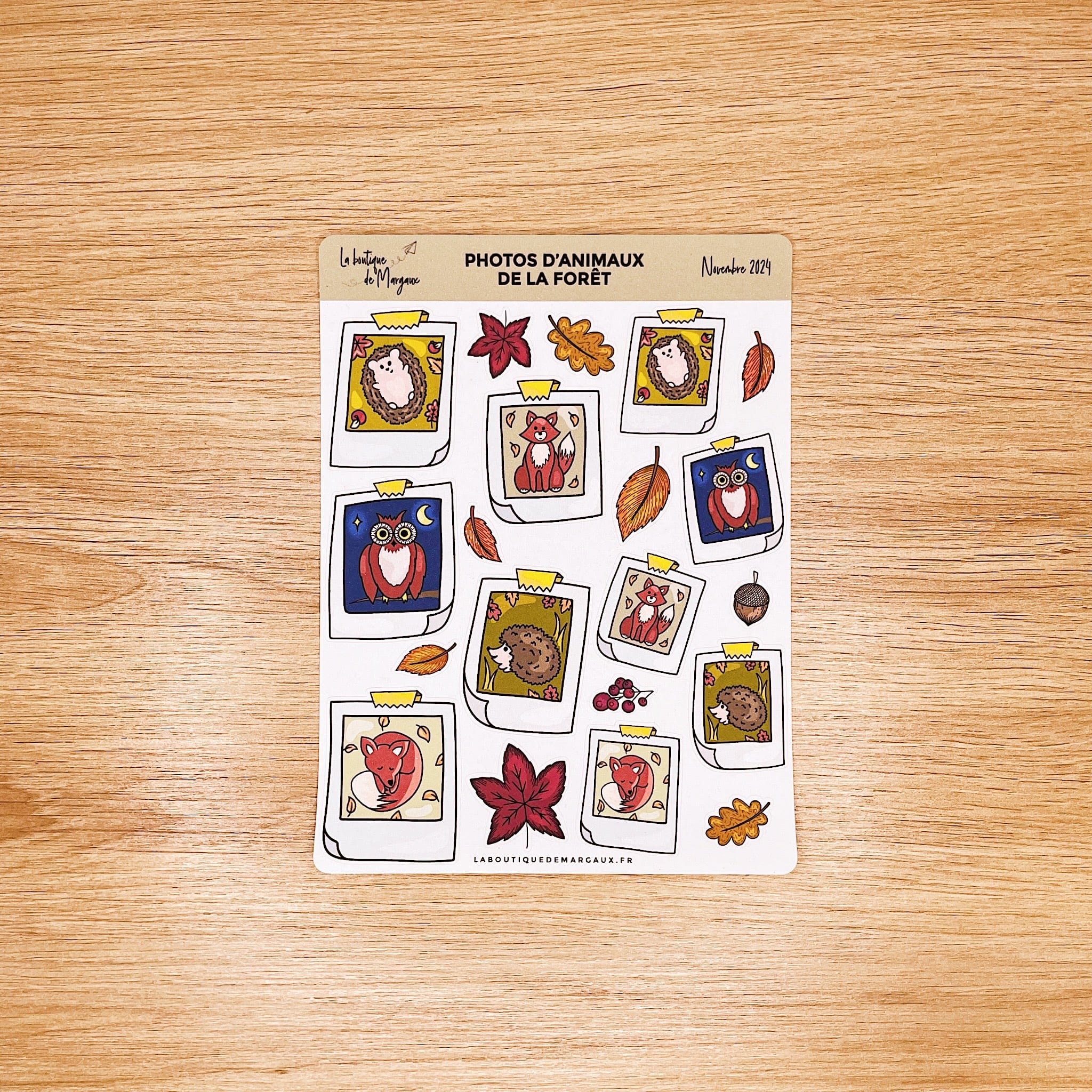 Photos d'animaux de la forêt - Stickers
