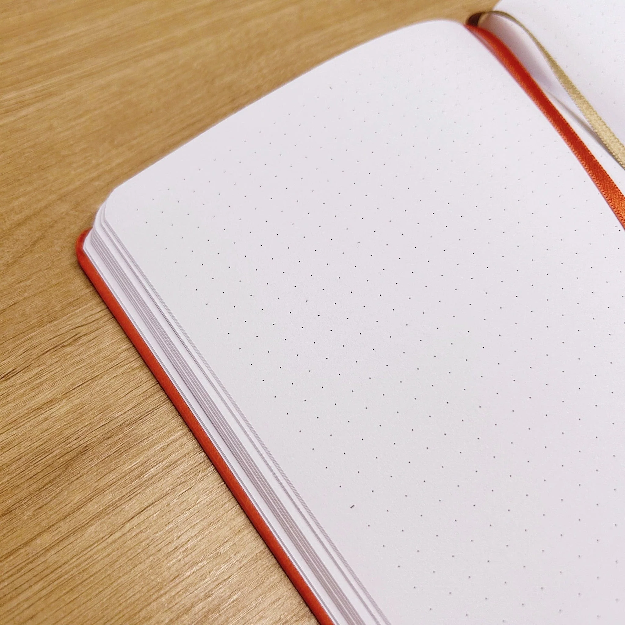 Bullet Journal l'Organisé "Citrouille" - Carnet A5 - Image 11
