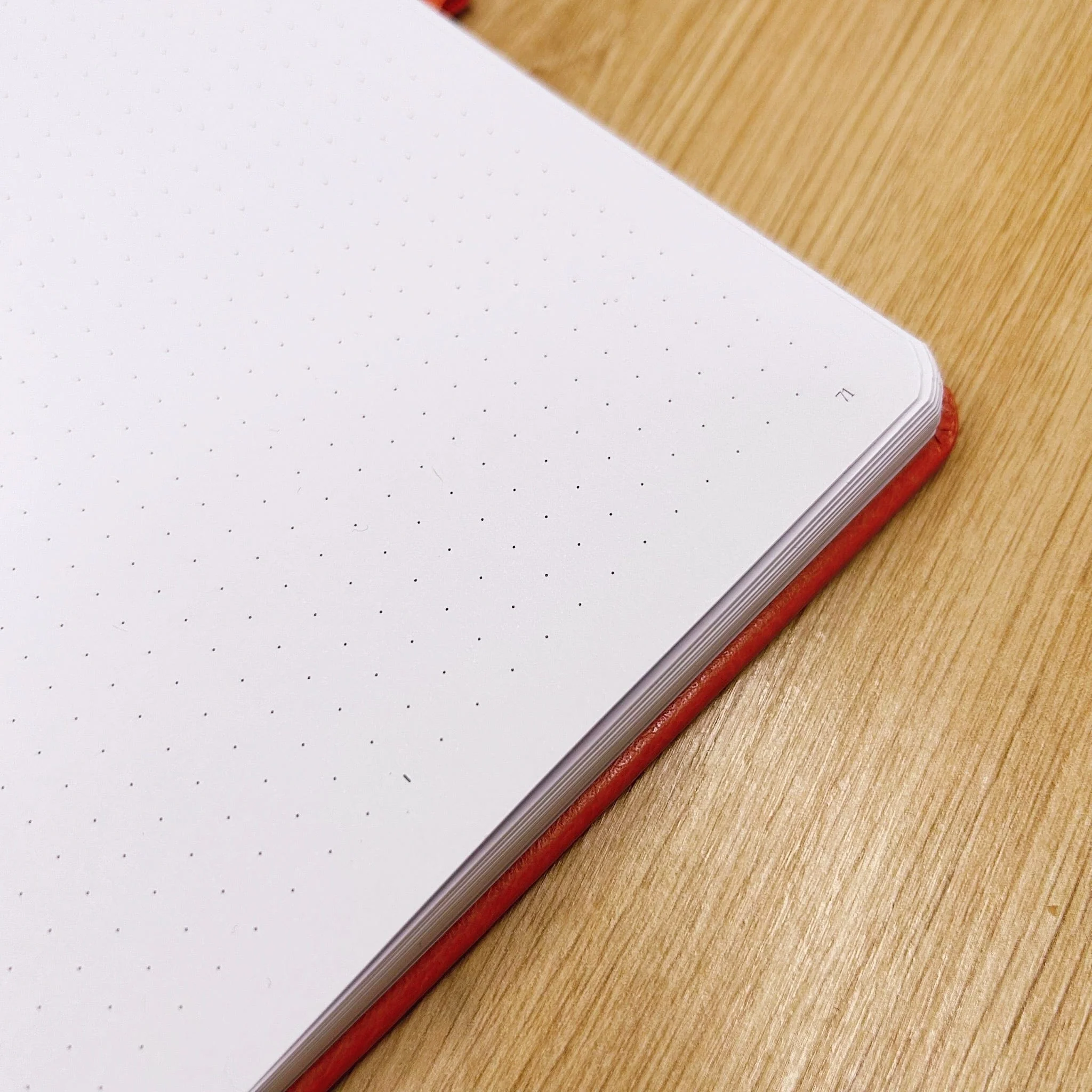 Bullet Journal l'Organisé "Citrouille" - Carnet A5 - Image 9