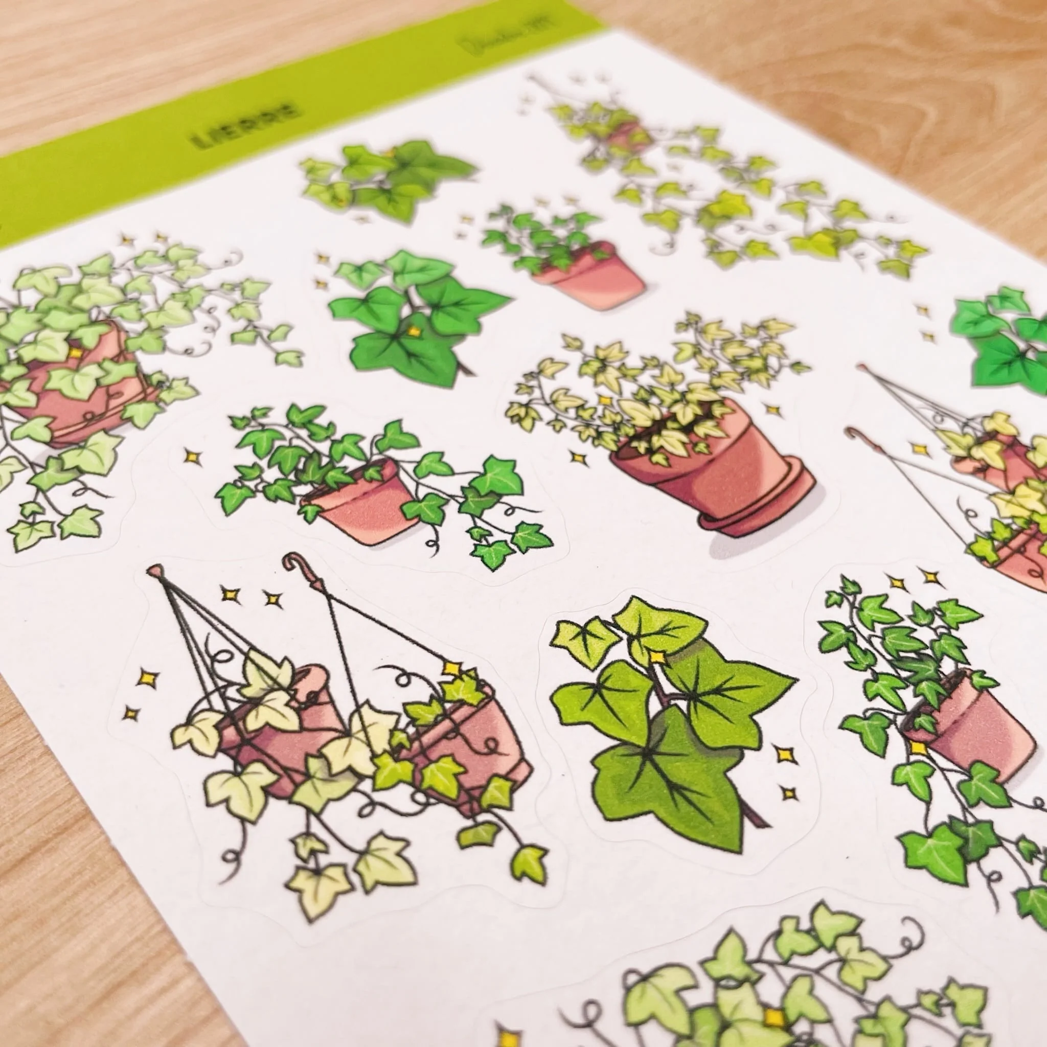 Lierre - Stickers - Image 2